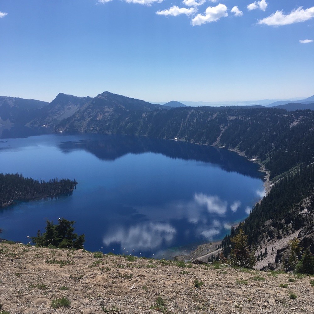 Meet your Posher, Ana